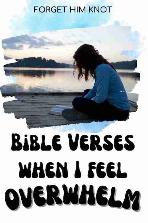 Bible verses when I am overwhelmed