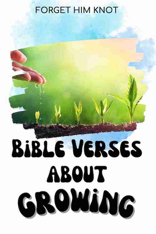 Bible verses about growing in relationship with God